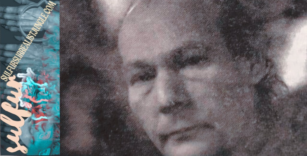 اختراع العالم /  فنسنت بونور وفراتيسلاف إفينبرجر / ترجمة عبد الرؤوف&nbsp;بطيخ