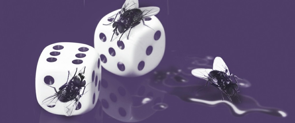 When is a dream a reality, and when is reality a dream? / Richard Misiano&nbsp;Genovese