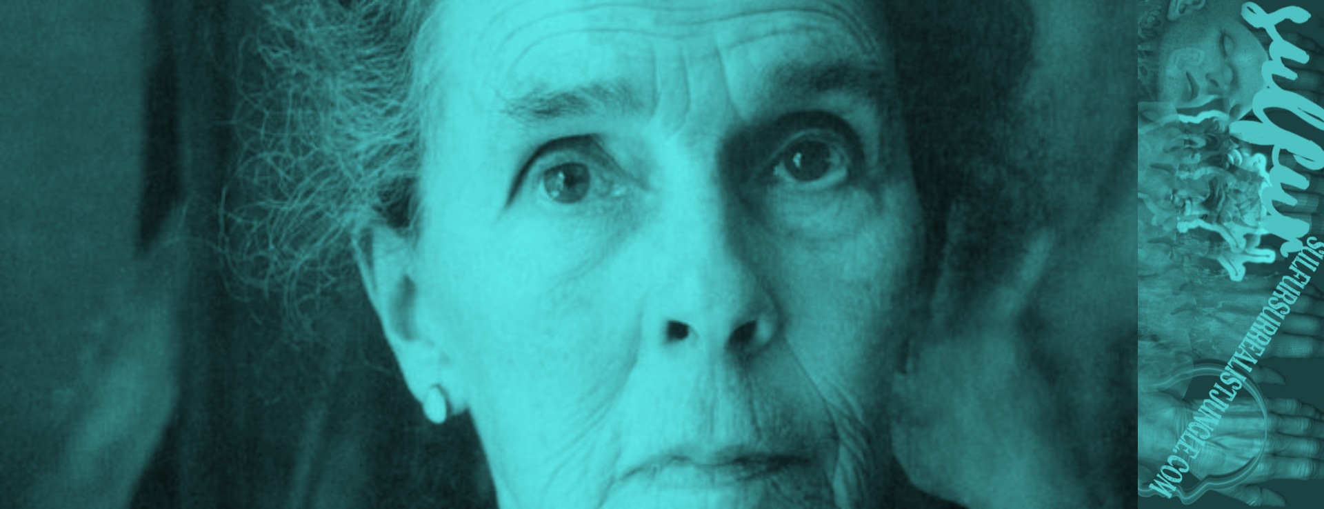 The Beloved /By : Leonora Carrington