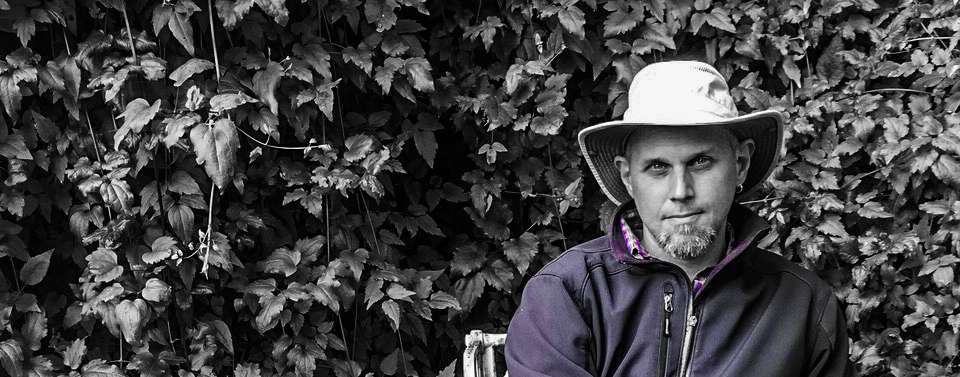 Petal Drops /Gregory Betts