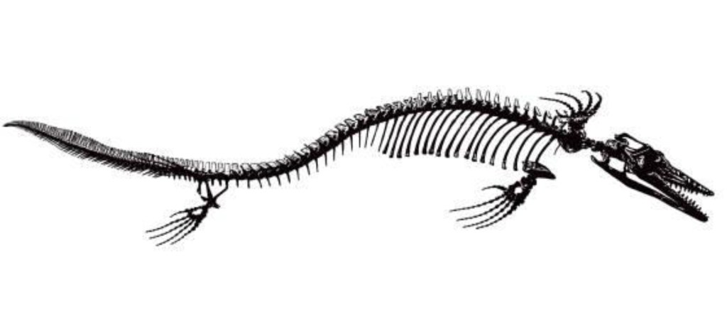 Secrets of GLASS VEAL 5/THE fresh dirt&nbsp;excavations