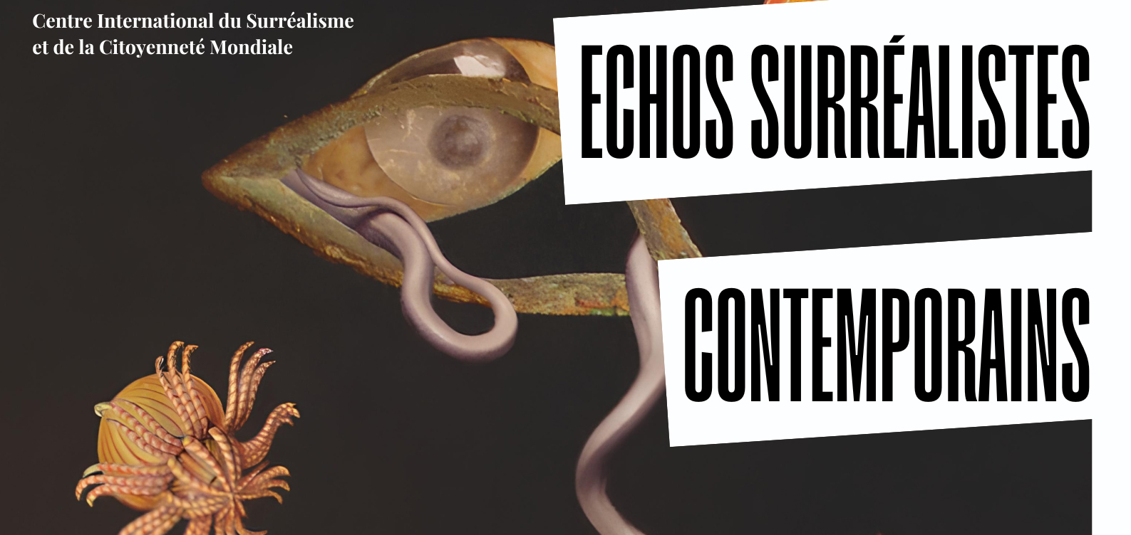 ECHOS SURRÉALISTES CONTEMPORAINS /DU NIL À SAINT-CIRQ LAPOPIE/schedule