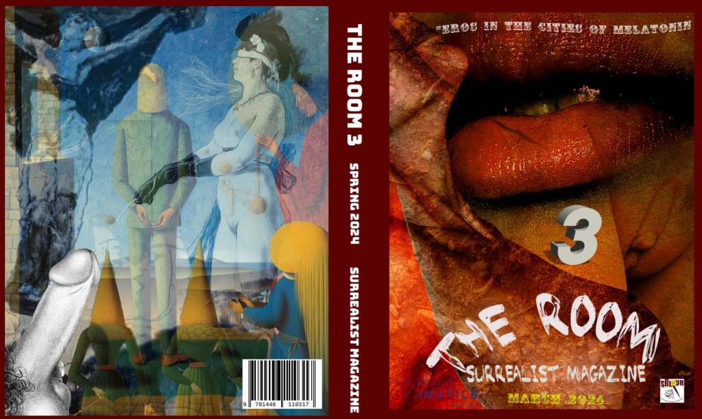 The Third Issue of The ROOM Surrealist Magazine /printed and Pdf&nbsp;edition