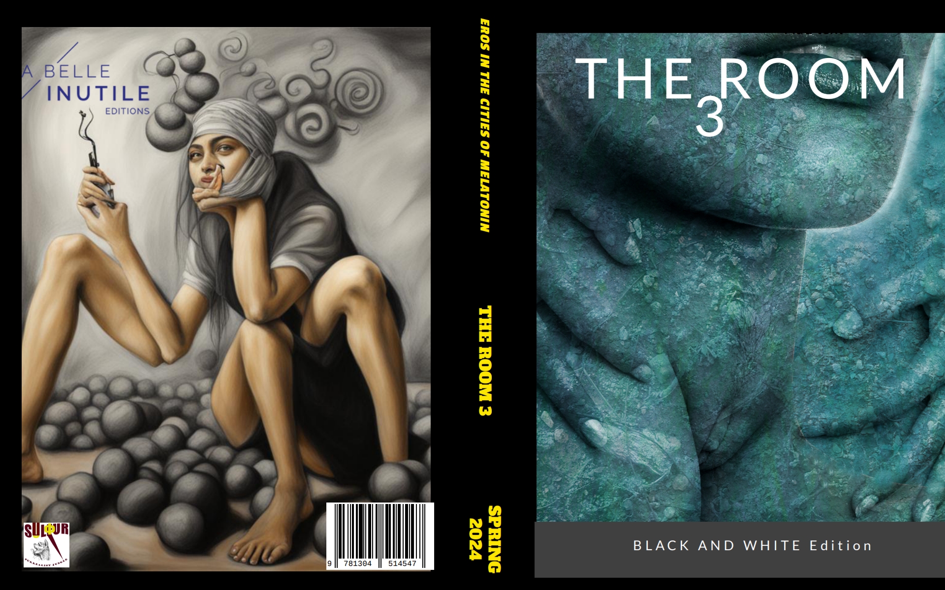 The THIRD ISSUE OF THE ROOM SURREALIST MAGAZINE /Pdf edition