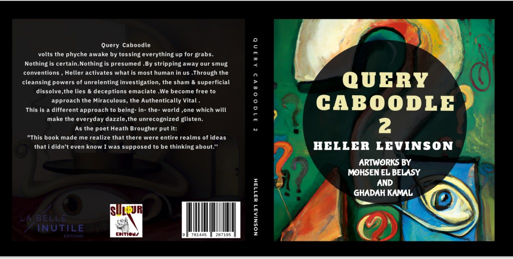 QUERY CABOODLE 2 /Poetry Book By Heller Levinson /Special&nbsp;Edition