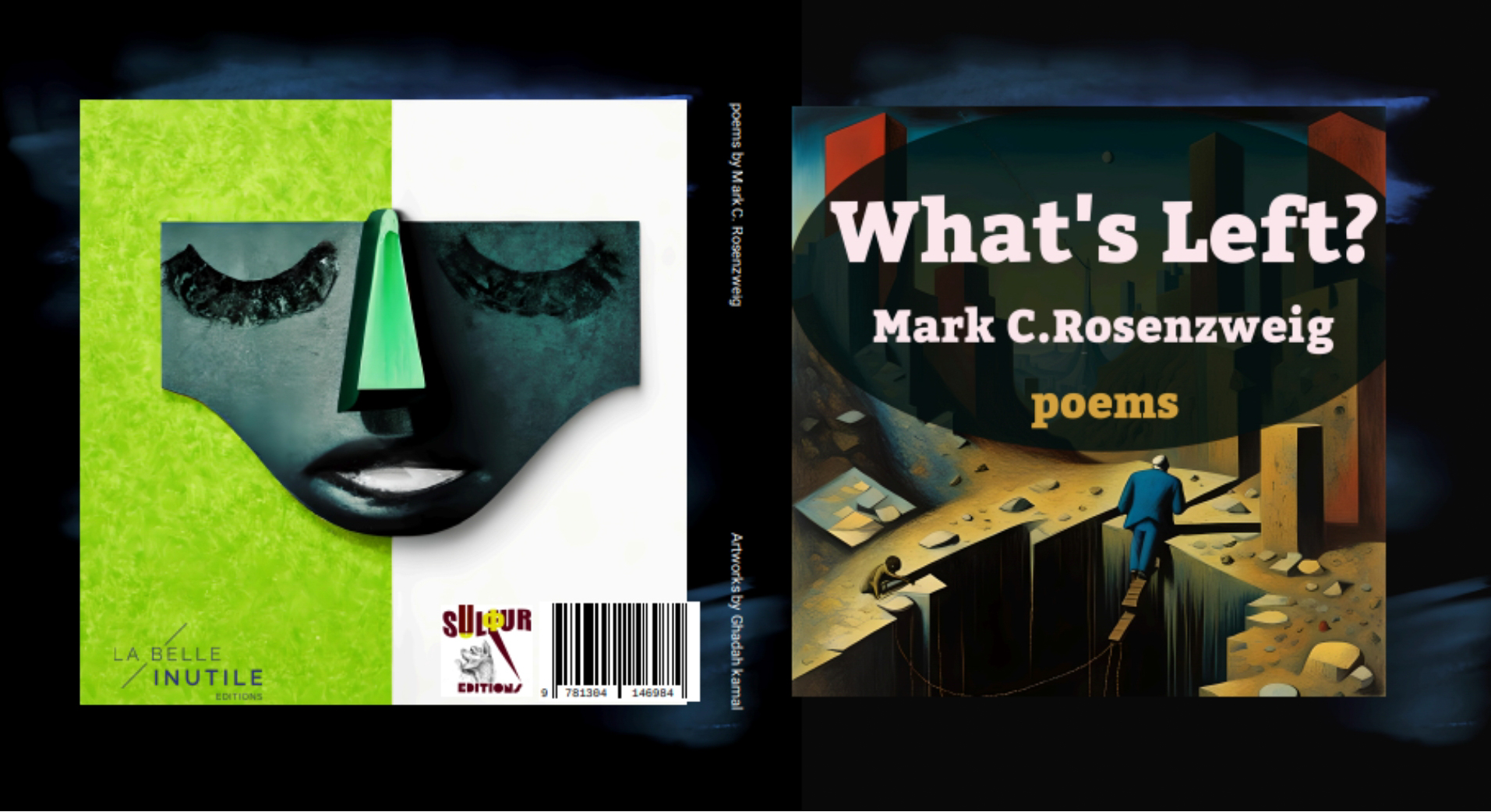 What’s Left /Poetry Book By Mark C. Rosenzweig