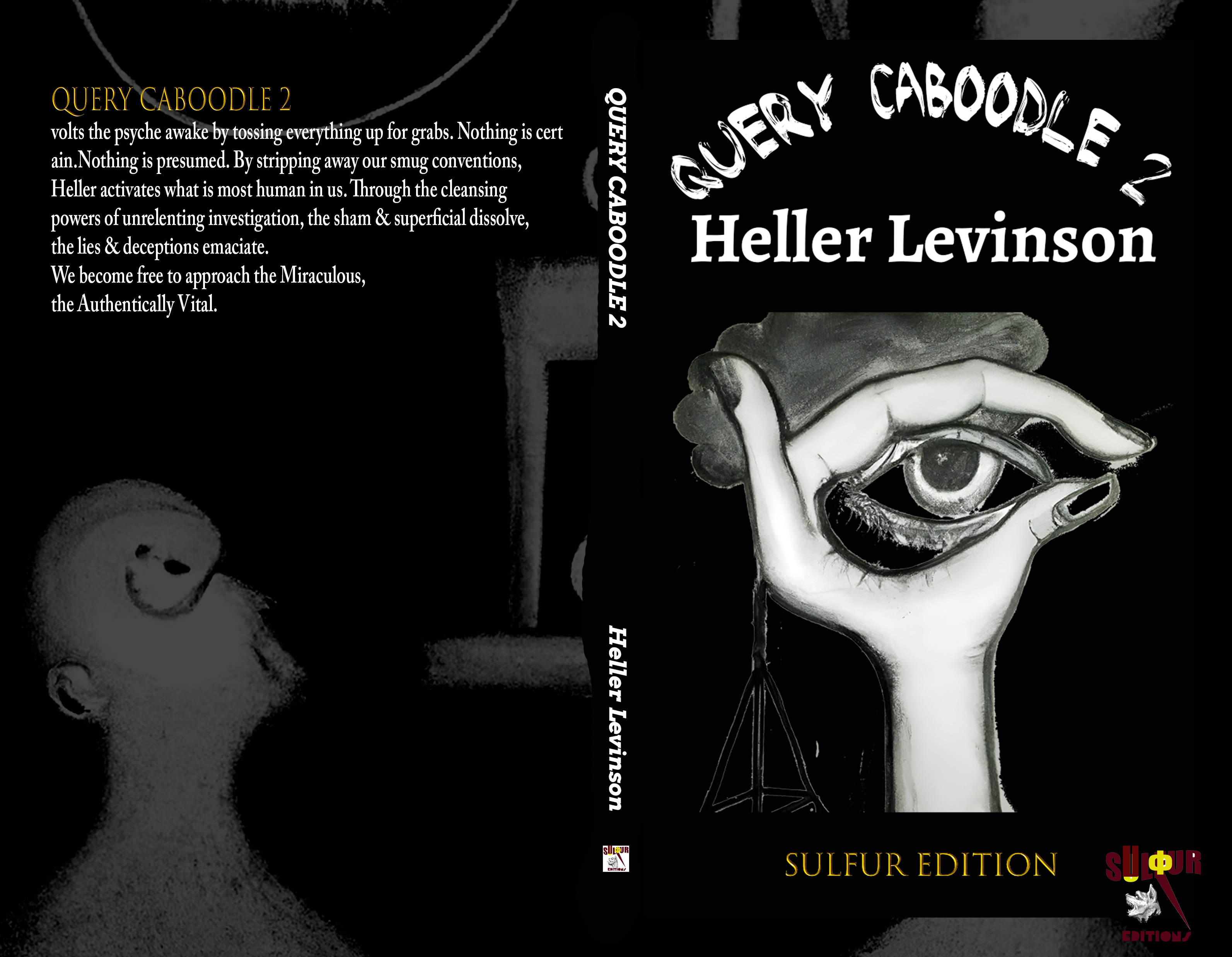 The Interrogation of Being: A Critical Analysis of Query Caboodle 2