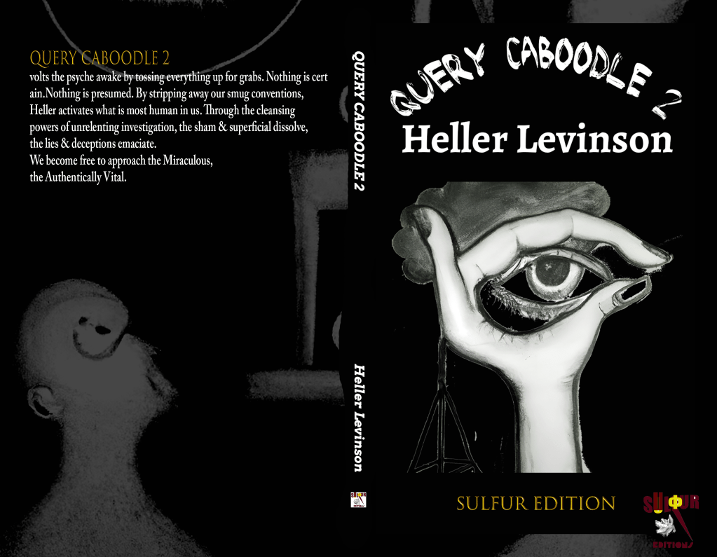 The Interrogation of Being: A Critical Analysis of Query Caboodle&nbsp;2